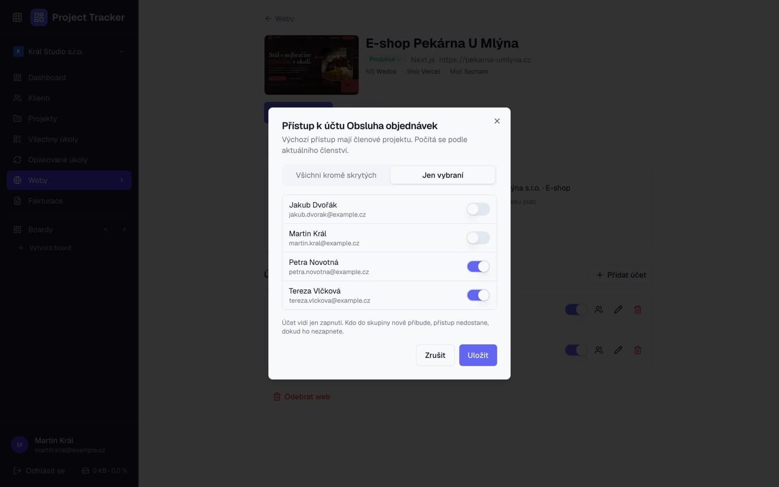 Přístup k účtu webu podle členů projektu